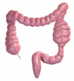 ما لا تعرف عن أسرار القولون العصبي د. جنيد محمود إختصاصي الجهاز الهضمي والكبد  450x350 - تعرف على تاثير القولون العصبي على الاعصاب