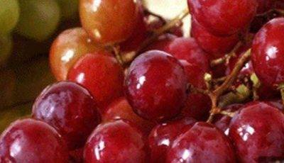 العنب الأحمر يحد من تراكم “الكولسترول” في الدم