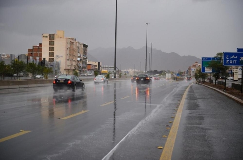 سيول 799x528 - أمطار غزيرة على منطقة الباحة