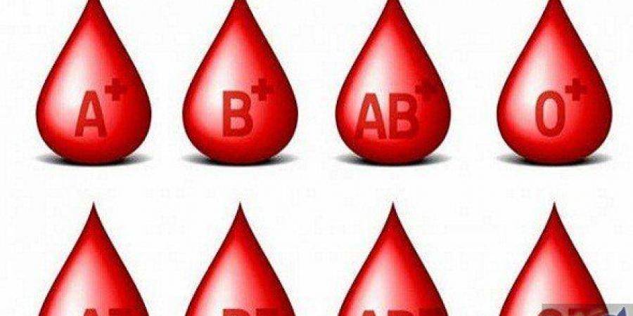 900x450 uploads20191004cee7864348 - حقائق لا تعرفونها عن خلايا الدمّ !