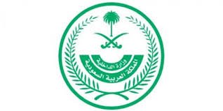 تنزيل 2 - متحدث &ldquo;الداخلية&rdquo; مشاهير التواصل ليسوا إعلاميين وهذه أسباب القبض على بعضهم!