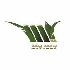 3 - تدعو جامعة بيشة المرشحين والمرشحات على ظائفها الأكاديمية (الإعادة)