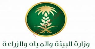 فهرس 78 - وزير البيئة والمياه يوجه بعودة بعض الموظفين لمكاتبهم بعد العيد في &laquo;أضيق الحدود&raquo;