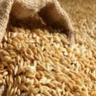 تنزيل - سعر بيع كيس الشعير بعد قيمة الضريبة المضافة