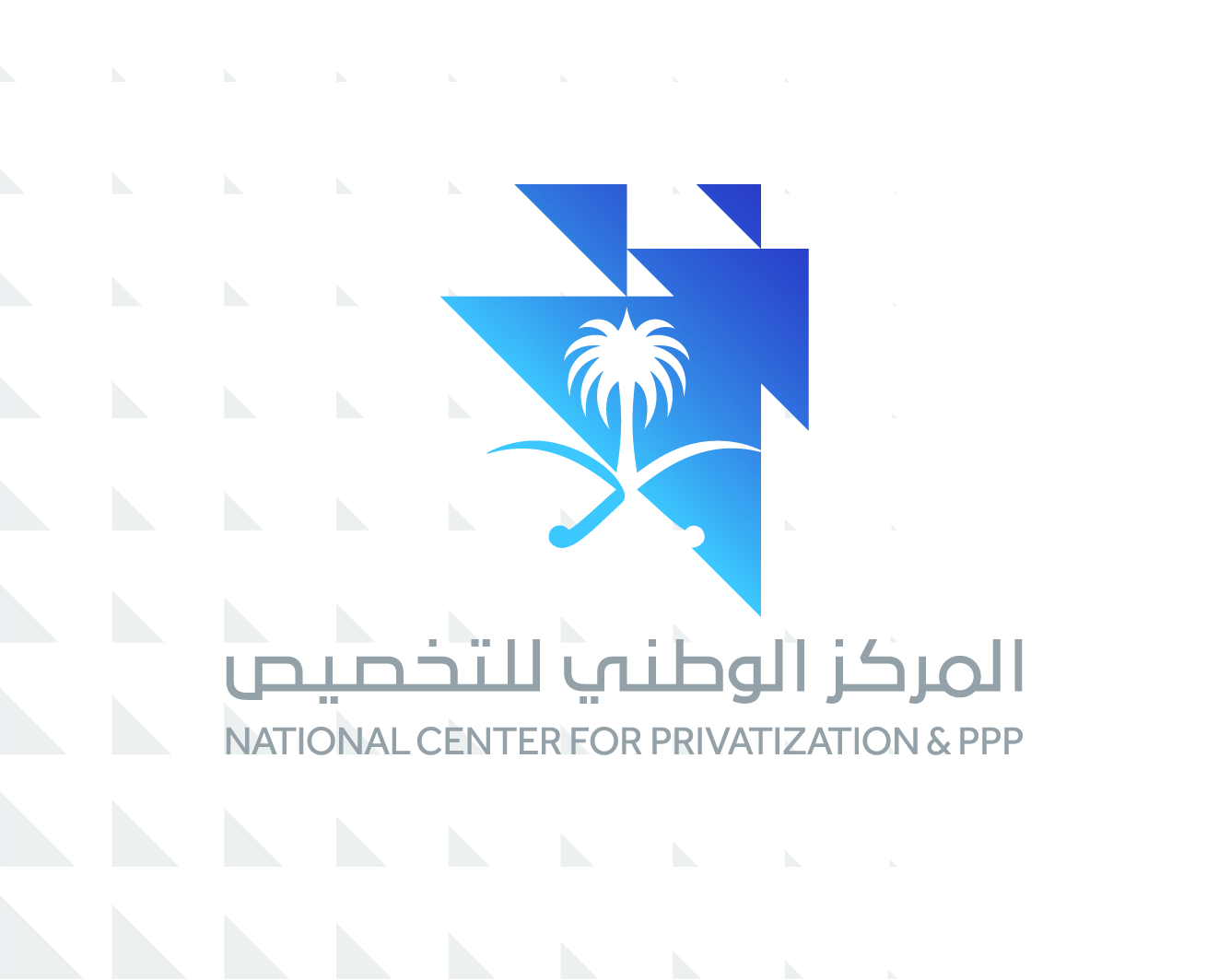 Privatization Manual - وظائف شاغرة لدى المركز الوطني للتخصيص