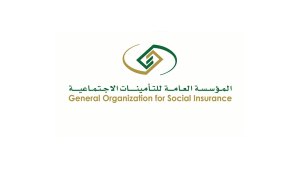 .jpg - التأمينات الاجتماعية تعلن عن برنامج النخبة لتطوير المواهب المنتهي بالتوظيف 2021م