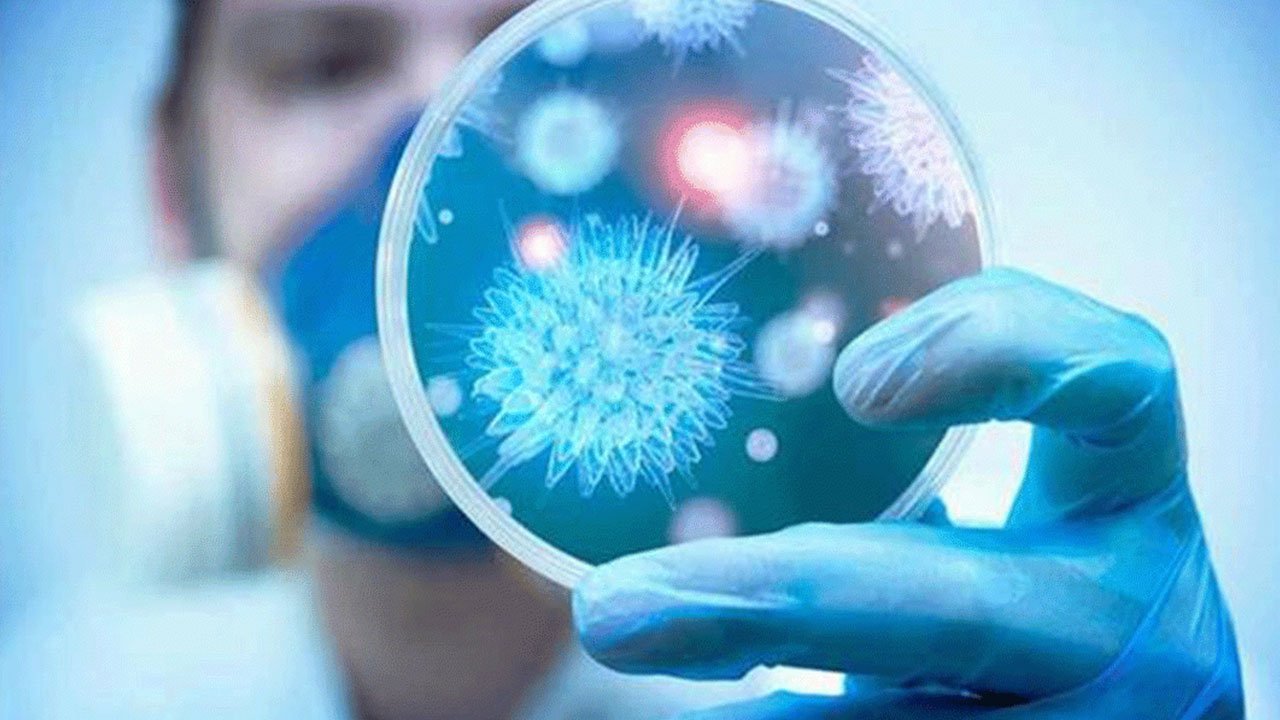 فيروس جديد يشبه كورونا يهدد البشر كورونا 1 - فيروس جديد يشبه كورونا يهدد البشر