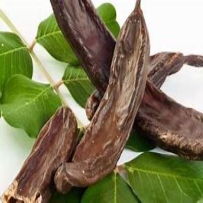 الخروب0 - تعرف على الفوائد الصحية للخروب